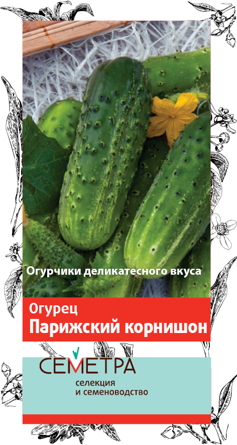 Огурцы Парижский Корнишон Отзывы Фото Урожайность