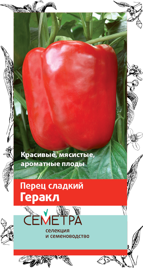 Перец геракл описание сорта фото Перец сладкий Геракл Поиск 0,25 г - купить в Энгельсе: цены, характеристики, отз