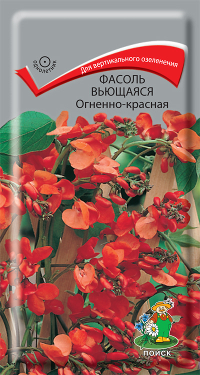 Фасоль вьющаяся Огненно-красная Поиск (5 шт.) — купить в Петровиче в ...