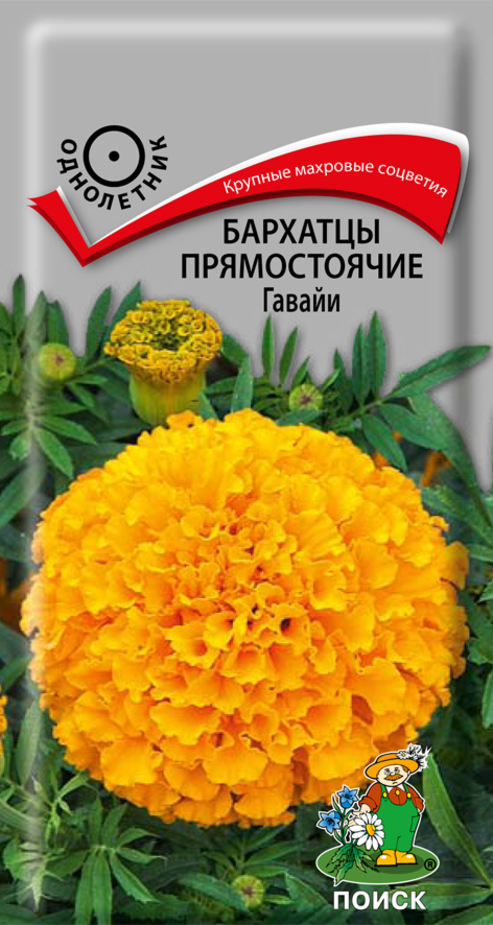 Бархатцы прямостоячие Гавайи 0,4гр — купить в Петровиче в Москве: цена ...