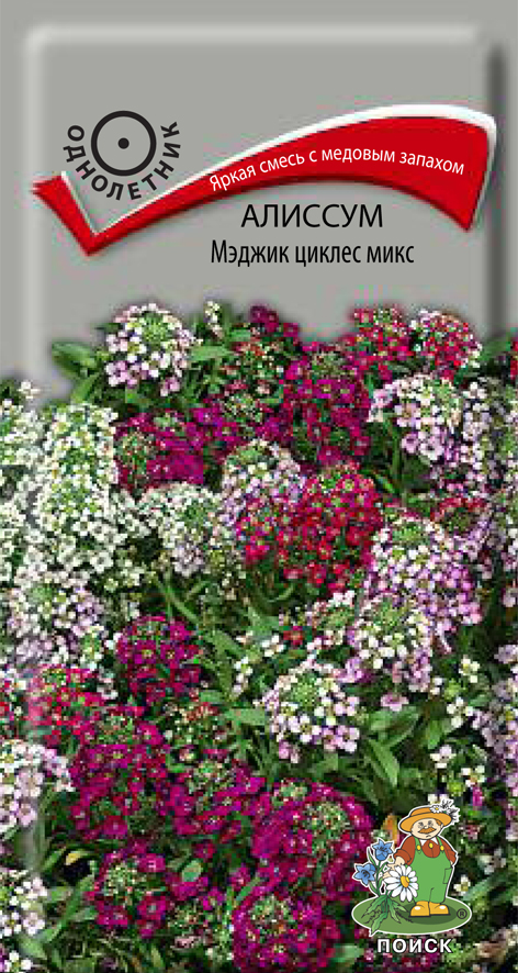 Алиссум Мэджик циклес микс 0,1гр — купить в Петровиче в Санкт ...