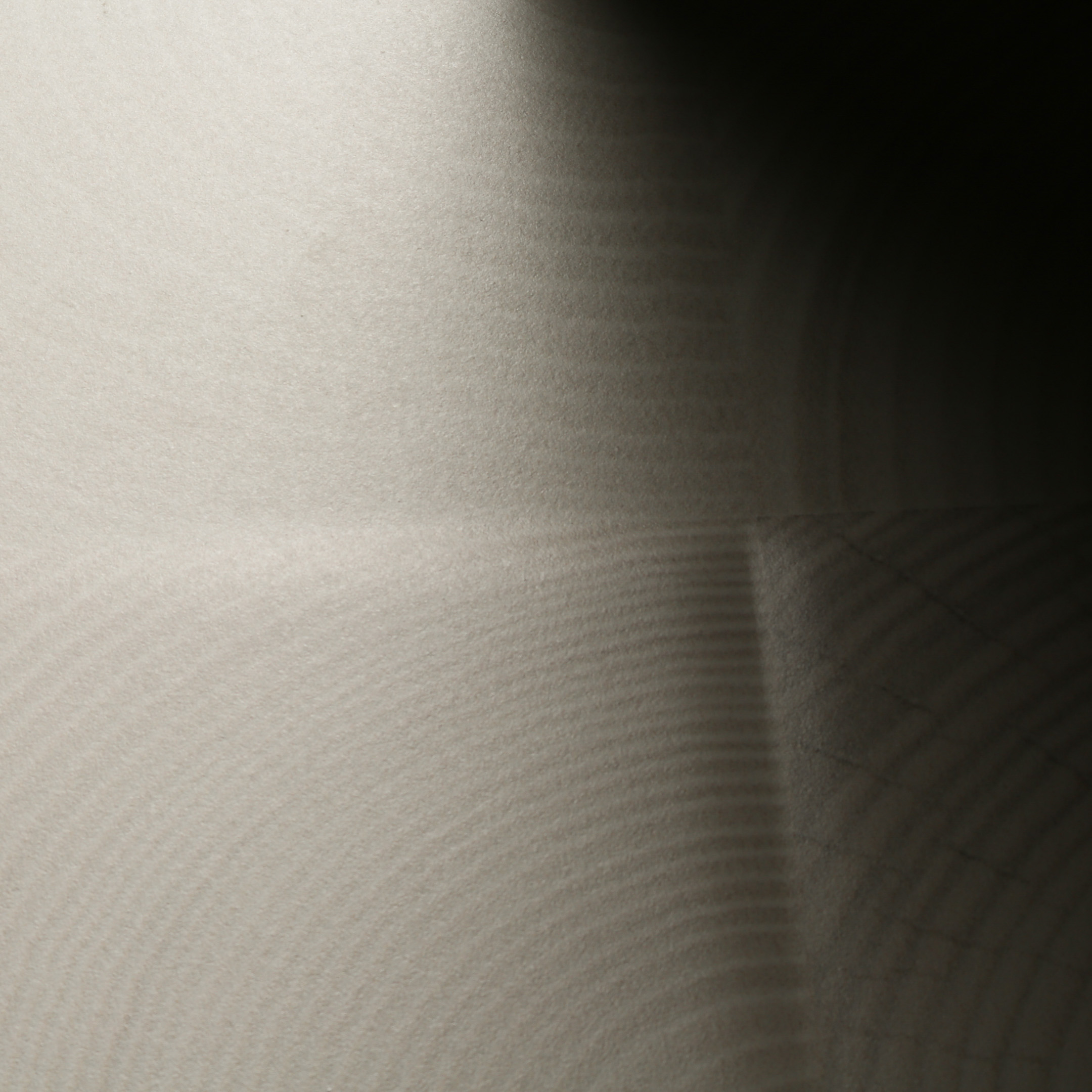 Плитка облицовочная Керамин Шиен 7Д рельеф белая 750x250x9,5 мм (9 шт.=1,69 кв.м) от Петрович