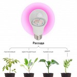 Лампы для растений, брудеров и террариумов