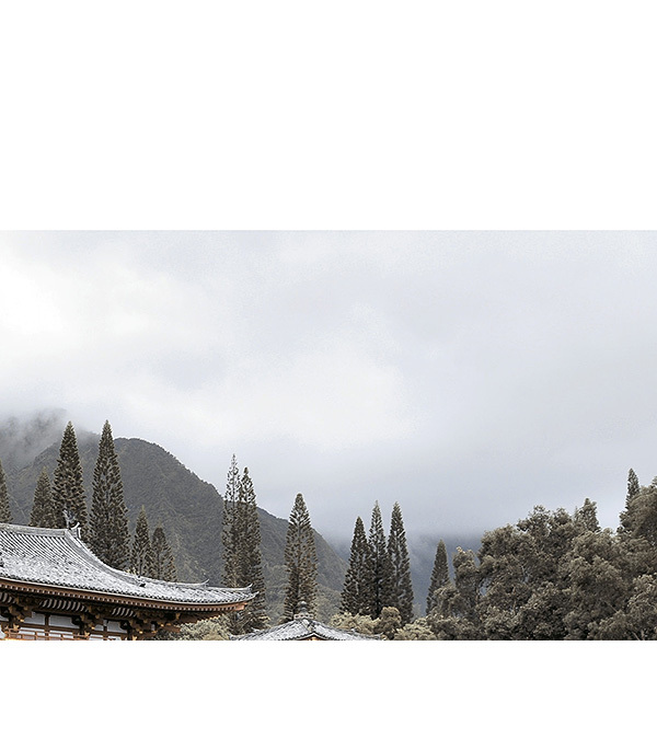 Плитка декор Golden Tile Бамбук 250х400х8 мм бежевая №3 — купить в ...