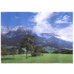 Фотообои на бумажной основе Тула Альпийский луг 294x201 мм