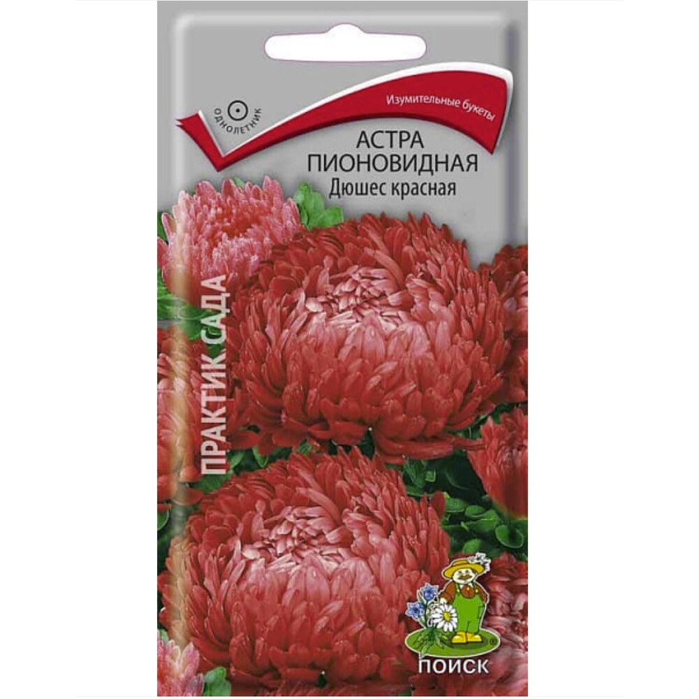 Семена Астра Пионовидная Дюшес красная — купить в Санкт-Петербурге ...