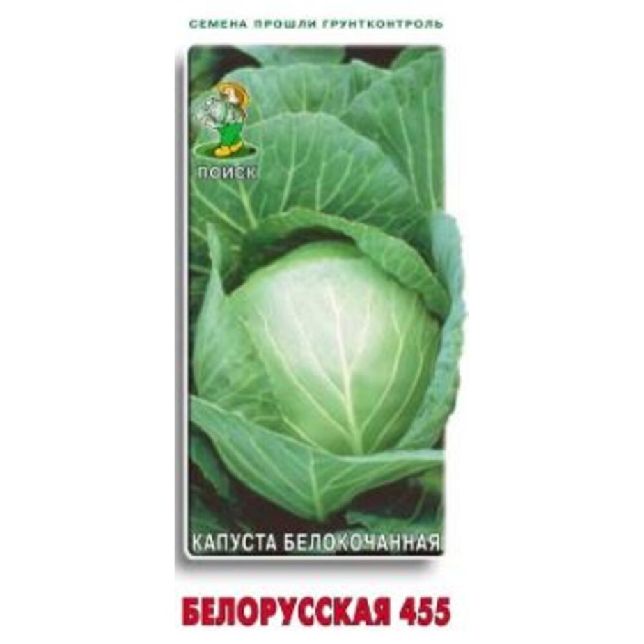 Семена капуста белорусская 455