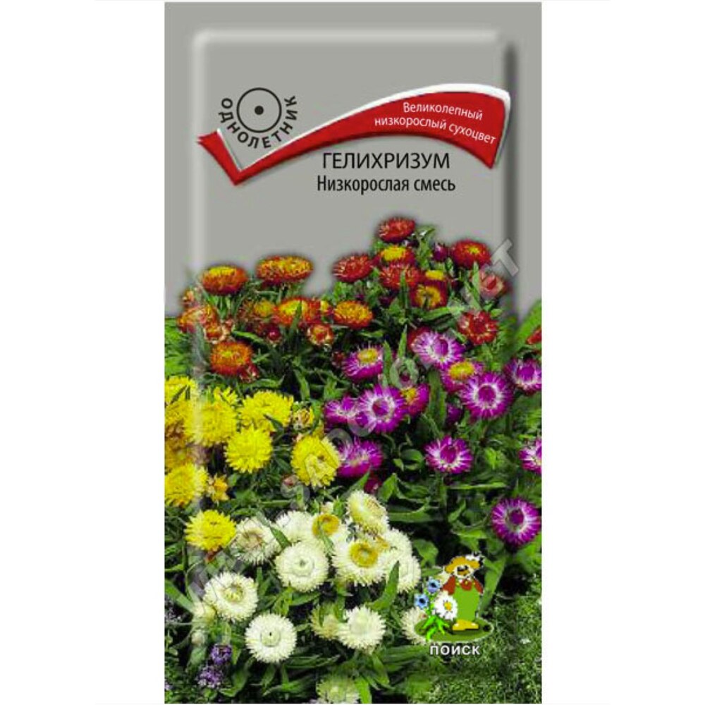 Купить Семена Низкорослых Цветов