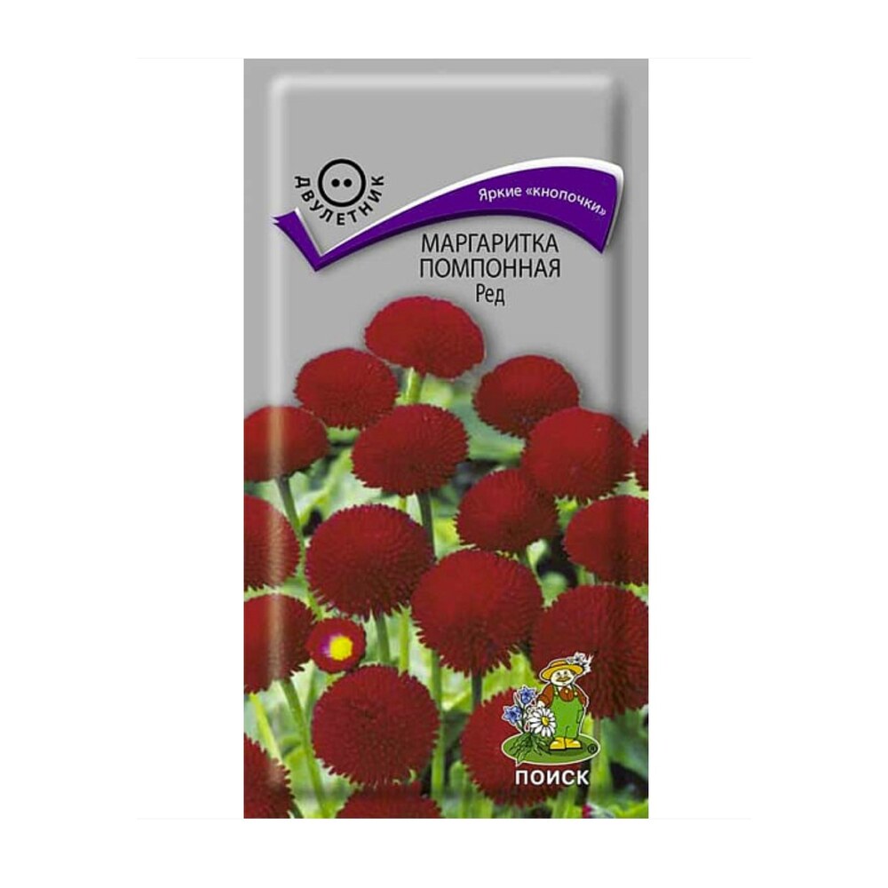 Маргаритки Семена Купить