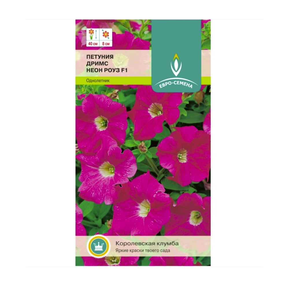 Петуния неон роуз фото. Петуния дримс неон Роуз. Неон Роуз петуния семена. Петуния дримс Яблоневый цвет.