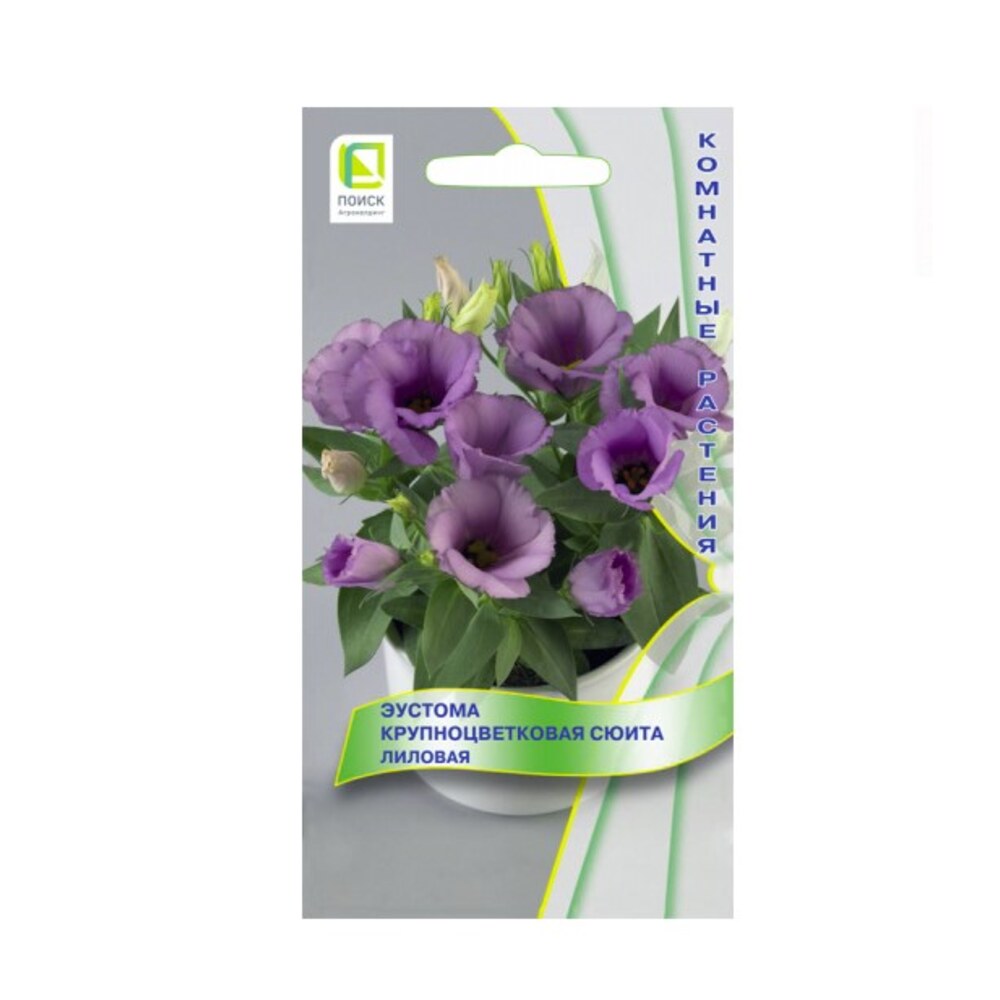 Эустома сюита. Эустома сюита. Эустома сапфир блю. Эустома крупноцветковая сюита. Эустома крупноцветная семена.