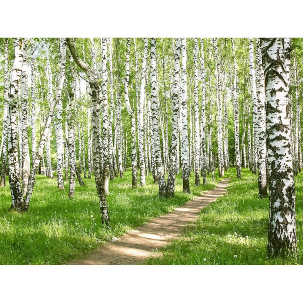 Березовая роща два. Лимонная роща картина. Березовая роща два. Березовая роща (1 сезон: 1-4 серии из 4) / 2021. Березовая роща ходынка.