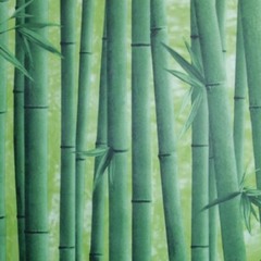 Пленка самоклеящаяся бамбук зеленая 0,45х2 м (09-1А)