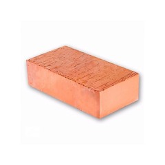 Кирпич 250х120х65 мм 1NF M125/150