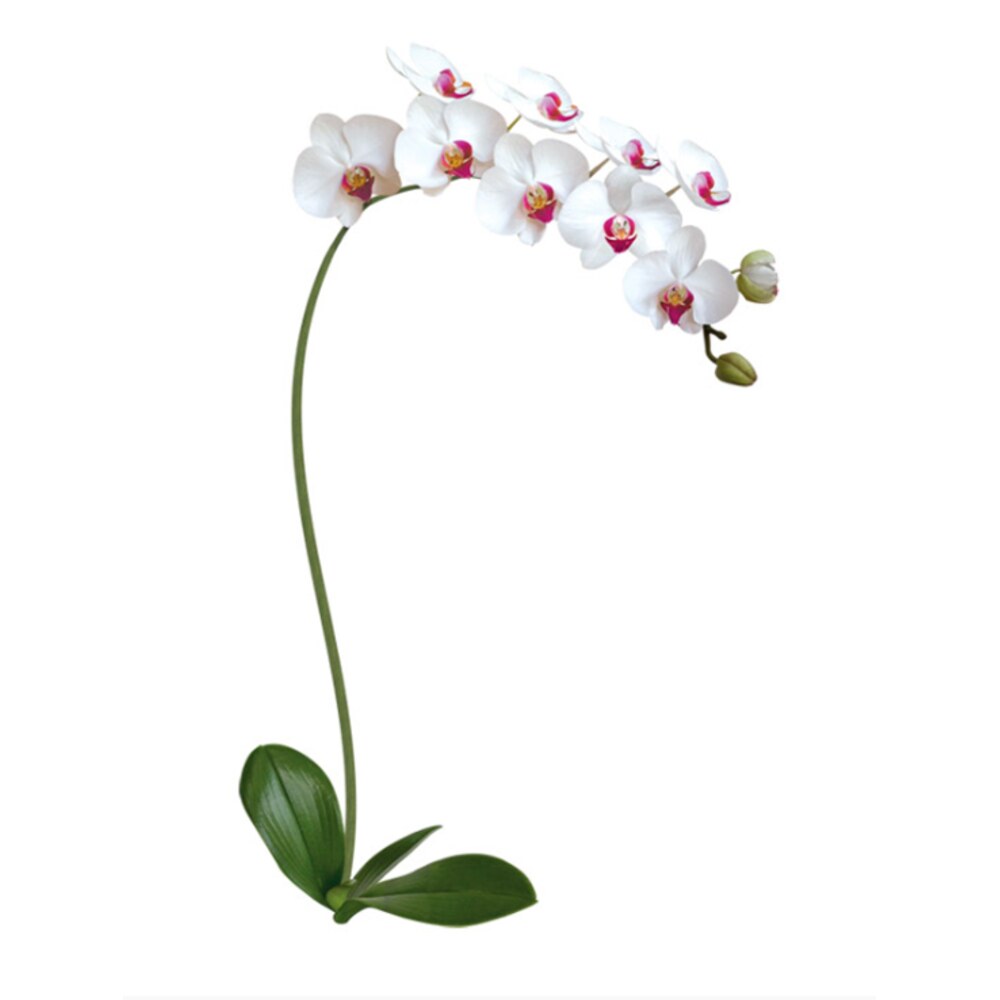 Декоретто fg6001 белая Орхидея
