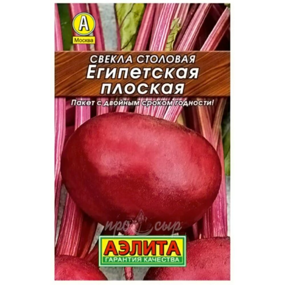 Свекла Египетская плоская 2-3гр — купить в Санкт-Петербурге: цена за ...
