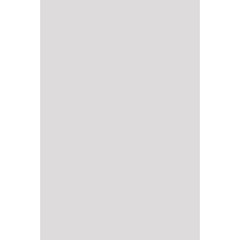 Плитка облицовочная белая матовая 300x200x7 мм (24 шт.=1,44 кв.м)