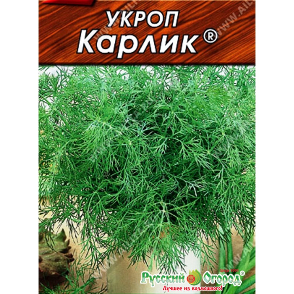 Укроп Карлик А б/п — купить в Петровиче в Санкт-Петербурге: цена за ...