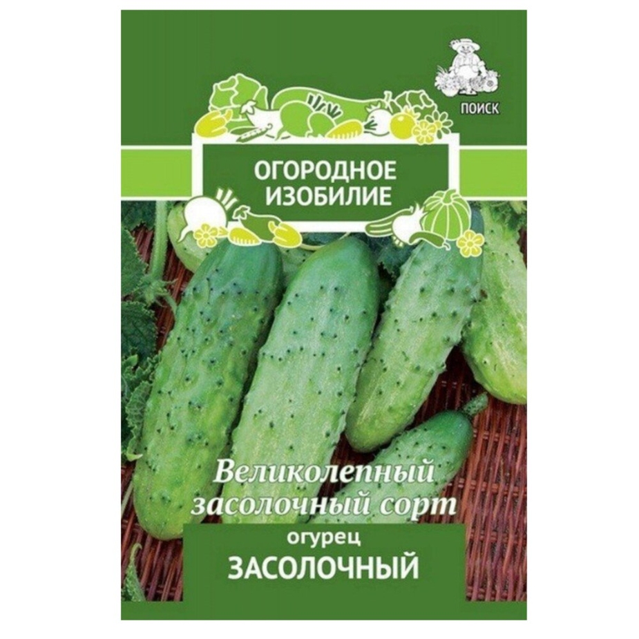 Огурец засолочный фото и описание