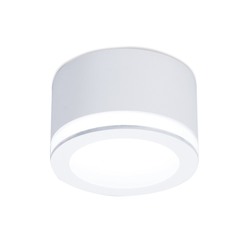 Накладной светодиодный точечный светильник TN265 WH белый LED 4200K 12W D96*70