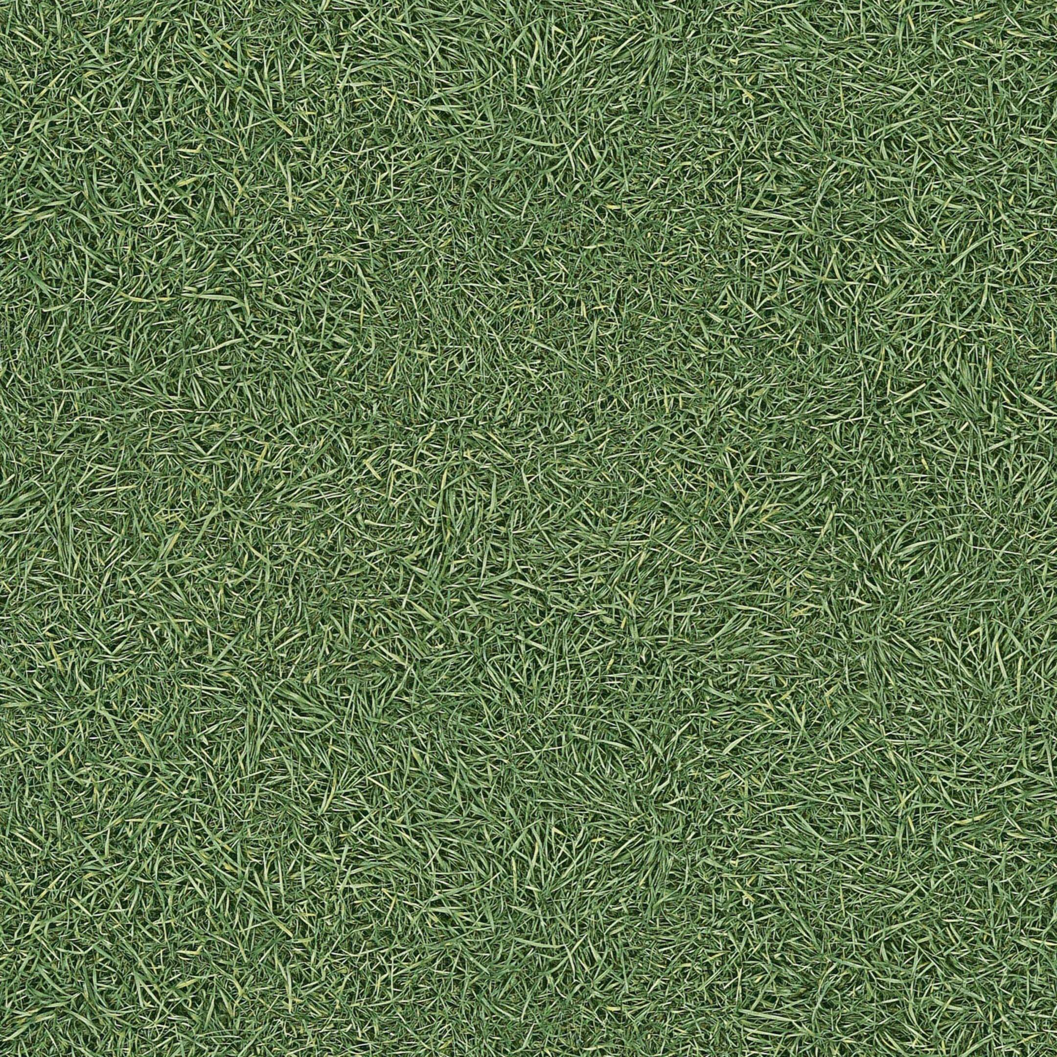 31 класс пвх. Линолеум IVC Neo grass 25. Линолеум «Грасс» 31 класс, 4 м. Neo grass 25 (3м.). Линолеум Neo grass.