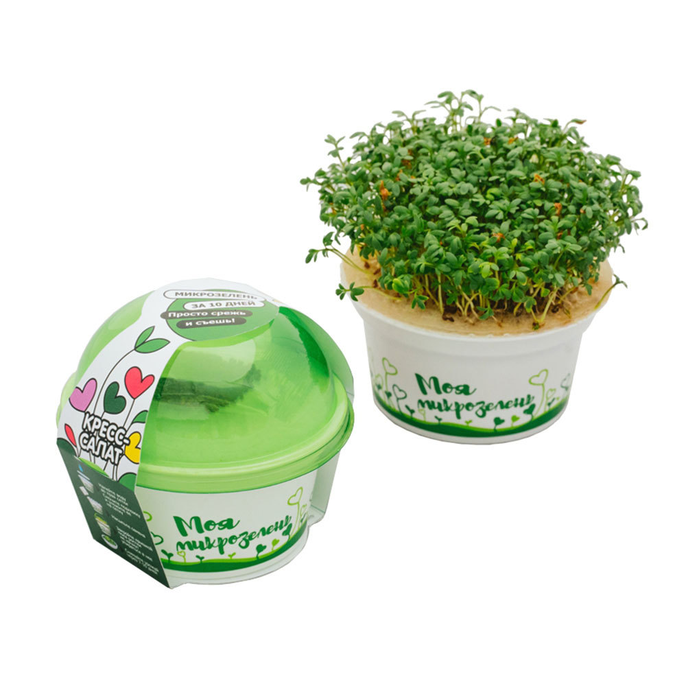 Набор для выращивания микрозелень Кресс-салат Здоровья клад 3 г набор для выращивания здоровья клад моя микрозелень кресс салат
