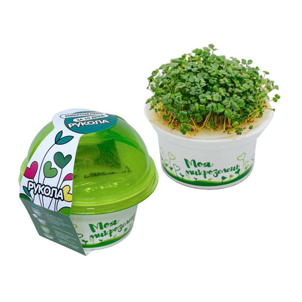 Набор для выращивания микрозелень Рукола Здоровья клад 3 г семена микрозелень подсолнечник 10 гр