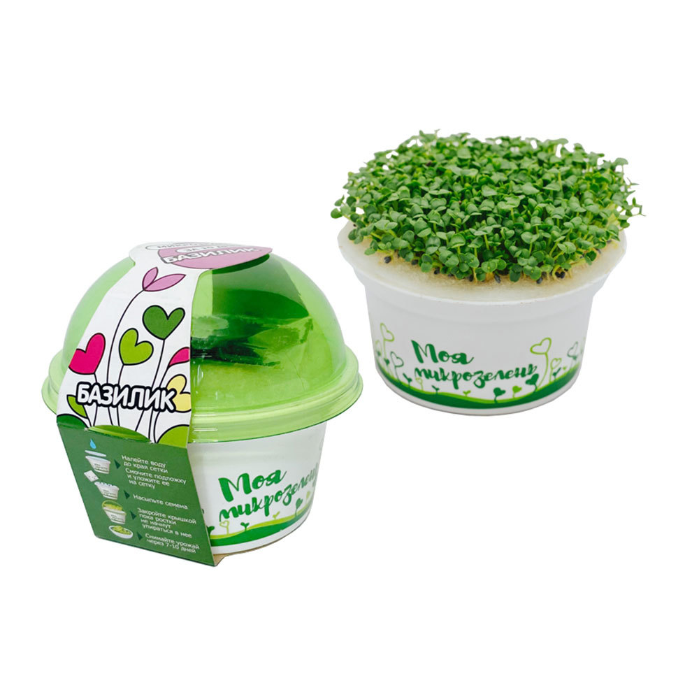 Набор для выращивания микрозелень Базилик Здоровья клад 3 г набор для выращивания микрозелень редис здоровья клад 3 г