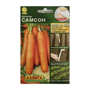 Морковь Самсон описание и характеристики правила выращивания и отзывы