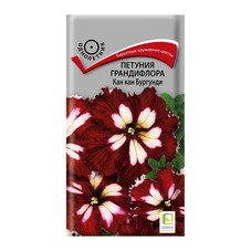 Петуния грандифлора Кан кан бургунди Поиск 12 г