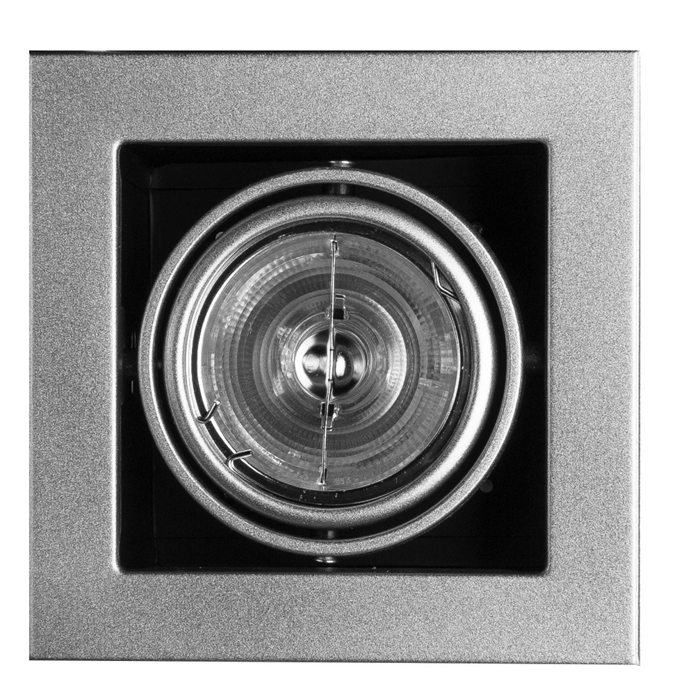 Светильник встраиваемый G5.3 поворотный серебро 50 Вт IP20 Arte Lamp Cardani Medio (A5930PL-1SI)