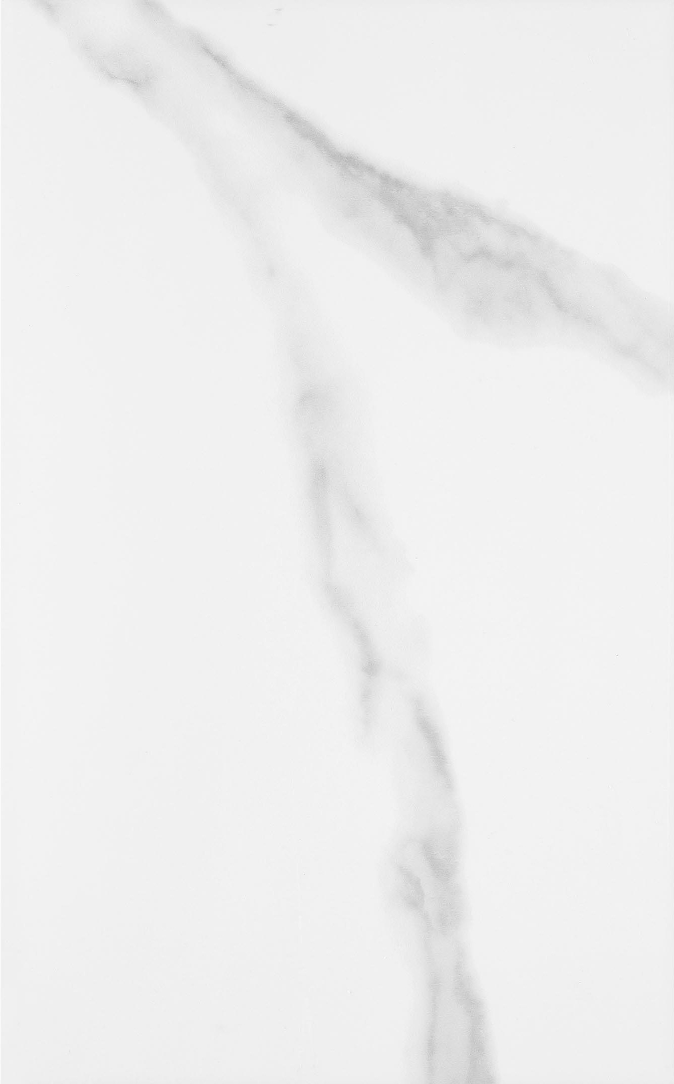 фото Плитка облицовочная unitile фиеста белая 1 40х25 см (14 шт.=1,4 кв.м)