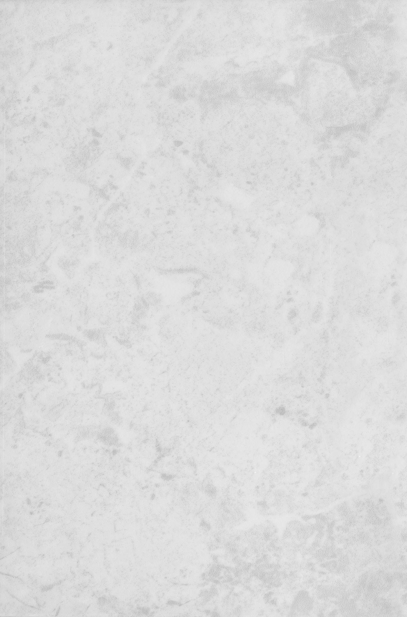 Плитка облицовочная Axima Мерида светло-серая 300x200x7 мм (24 шт.=1,44 кв.м)