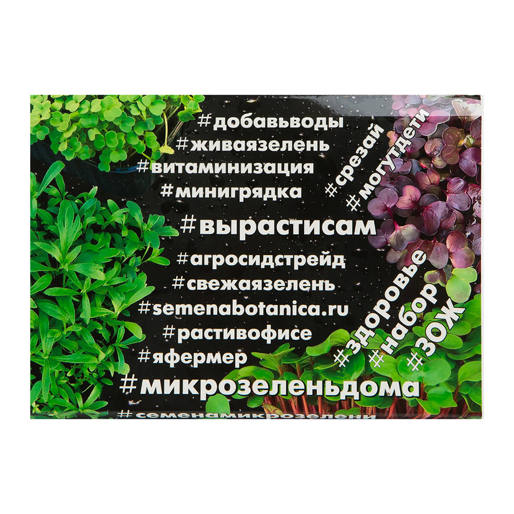 Набор для выращивания микрозелень Рукола АСТ 3,5 г набор микрозелени индау рукола на 10 выращиваний лоток коврики семена