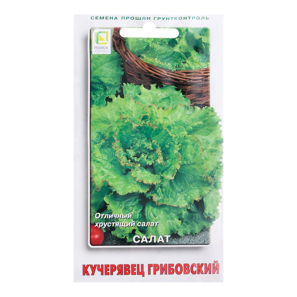 Салат Кучерявец Грибовский Поиск 1 г семена салат колобок кочанный хрустящий зеленый б п 0 5 г