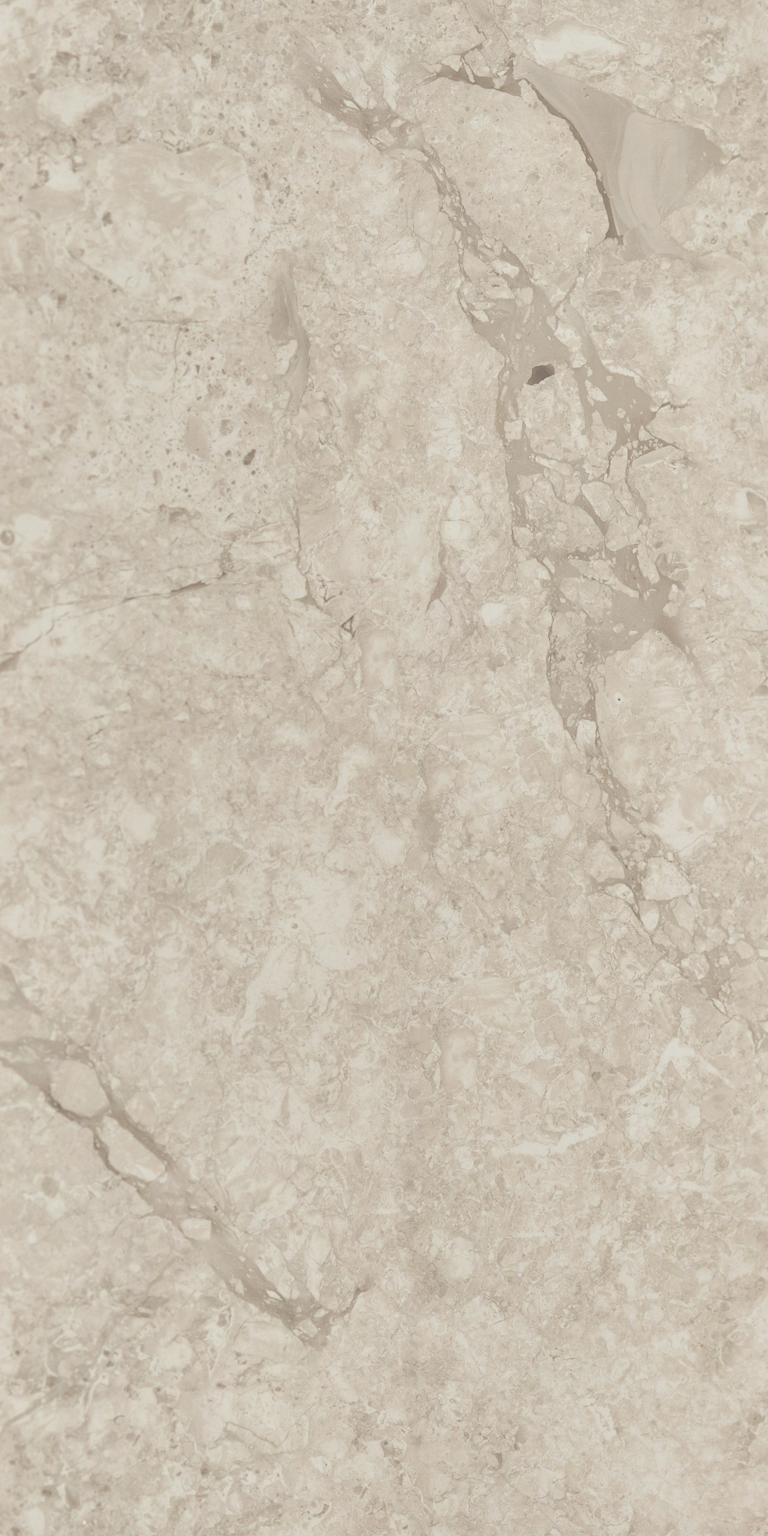 фото Керамогранит laparet emil white серый 120х60 см (2 шт.=1,44 кв.м)