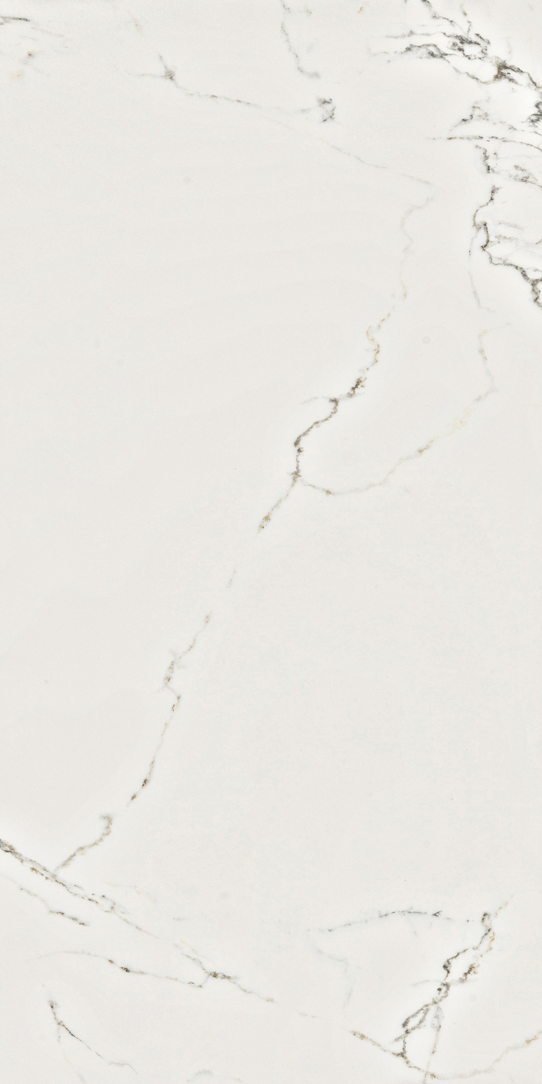 фото Керамогранит lavelly calacatta palace белый матовый 1200х600х8,5 мм (2 шт.=1,44 кв.м)