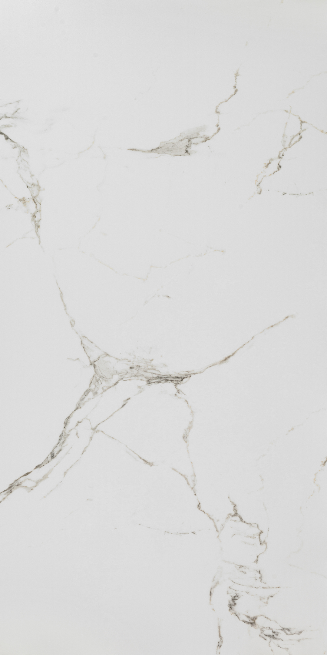 

Керамогранит Lavelly Calacatta Palace белый карвинг 1600х800х8,8 мм (2 шт.=2,56 кв.м)