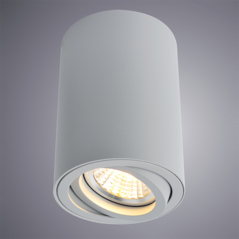 

Светильник точечный накладной ARTE LAMP SENTRY (A1560PL-1GY) GU10 50 Вт 220 В IP20