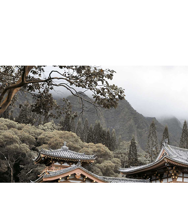 Плитка декор 250х400х8 мм Бамбук бежевый №1 — купить в Москве: цена за ...