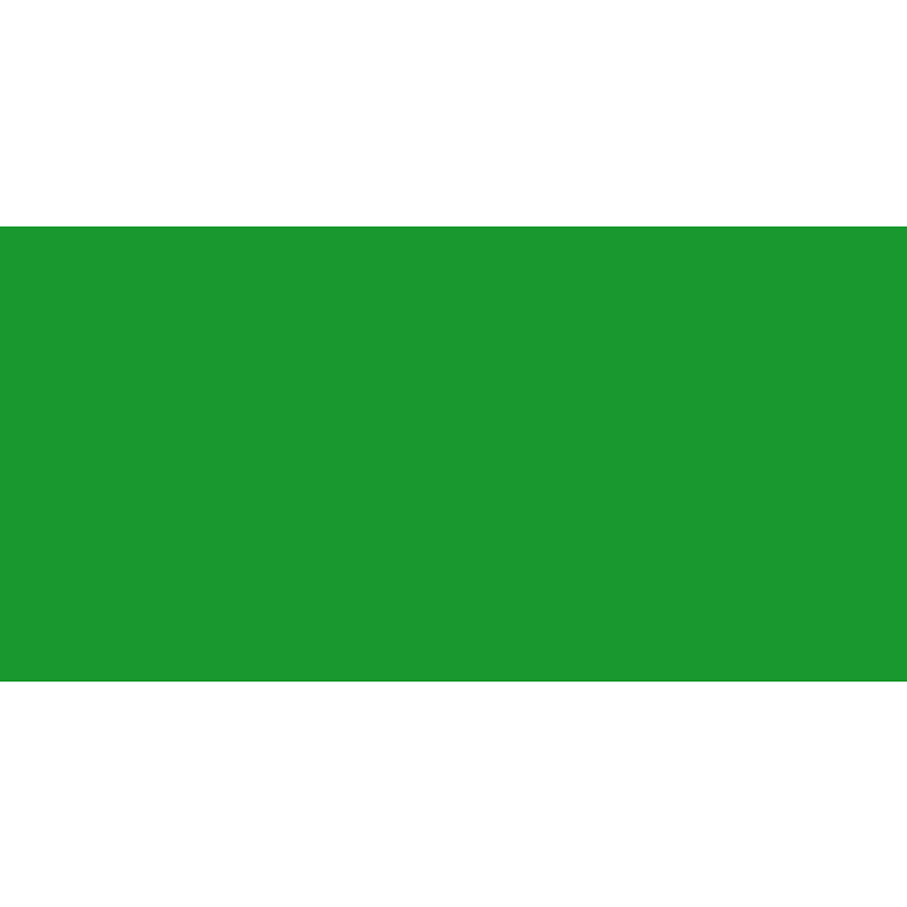 

Плитка облицовочная Нефрит Керамика Kids зеленая 400x200x8 мм (15 шт. = 1,2 кв. м.), Зеленый