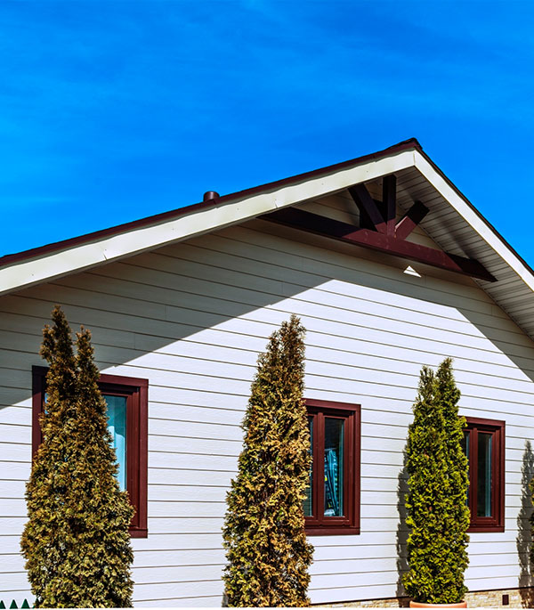 

Сайдинг фиброцементный Cedral Classic 3600х190 мм солнечный лес C02