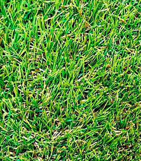 фото Искусственная трава grass mix 2 м 30 мм