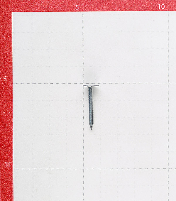 фото Гвозди толевые 3,0x25 мм оцинкованные (0,5 кг)