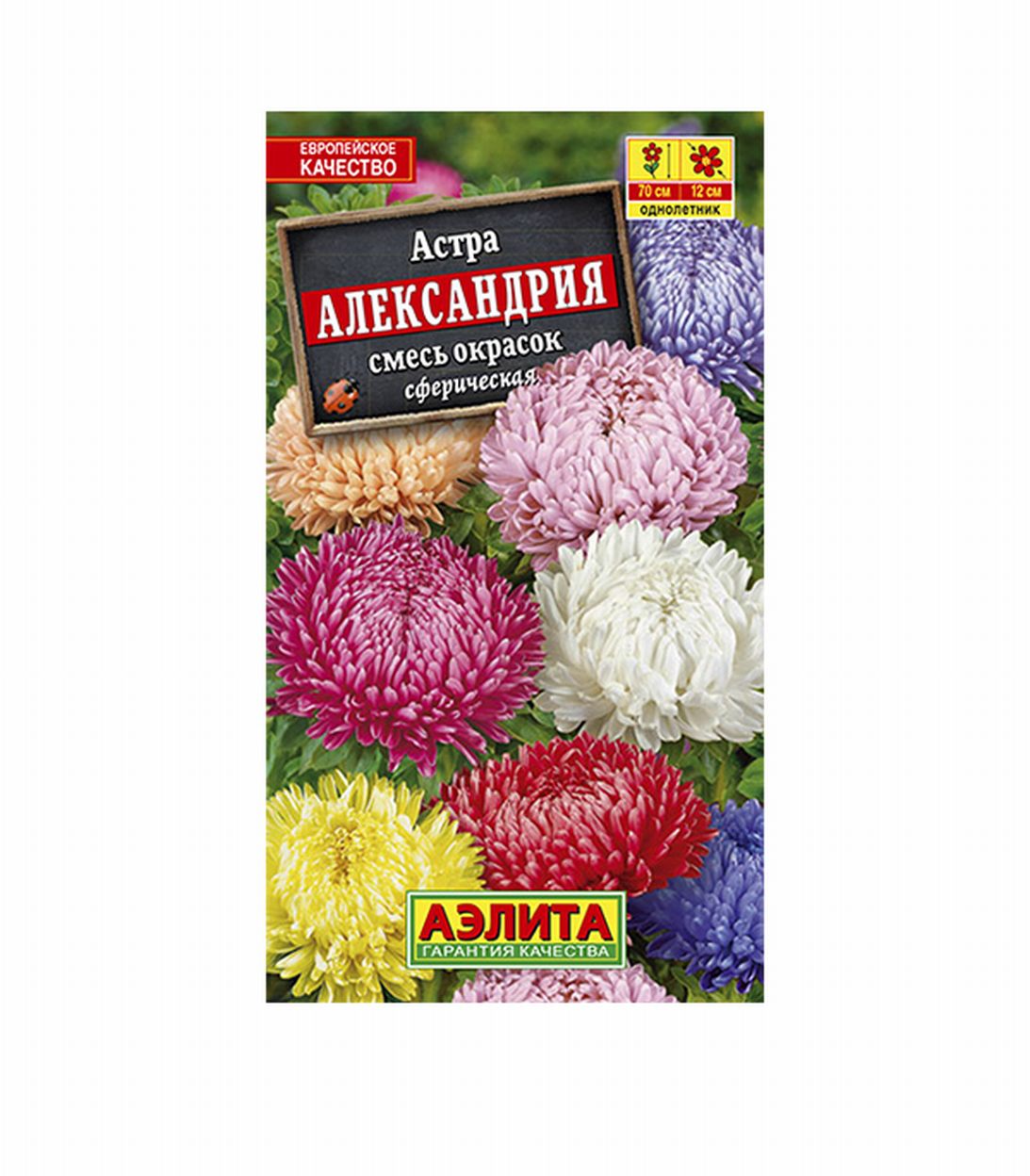 

Астра Александрия смесь окрасок Аэлита