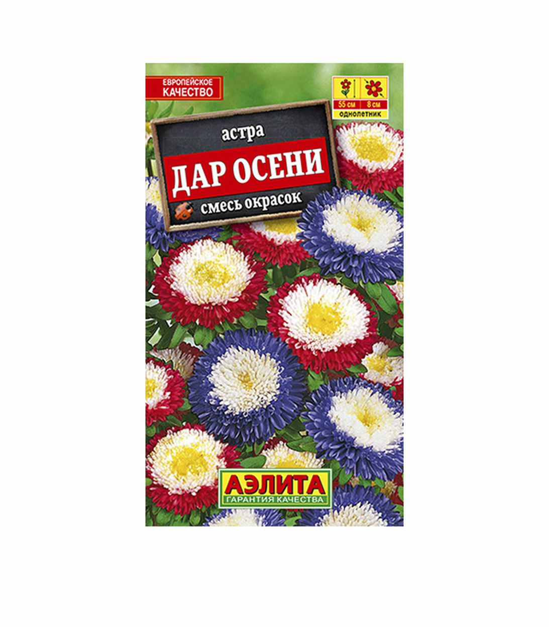 

Астра Дар осени смесь окрасок Аэлита