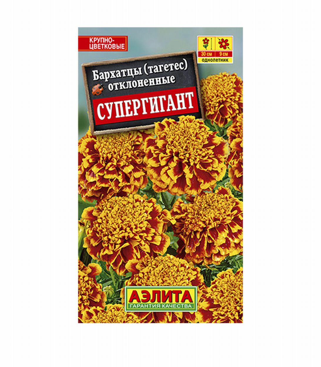 

Бархатцы Супергигант Аэлита