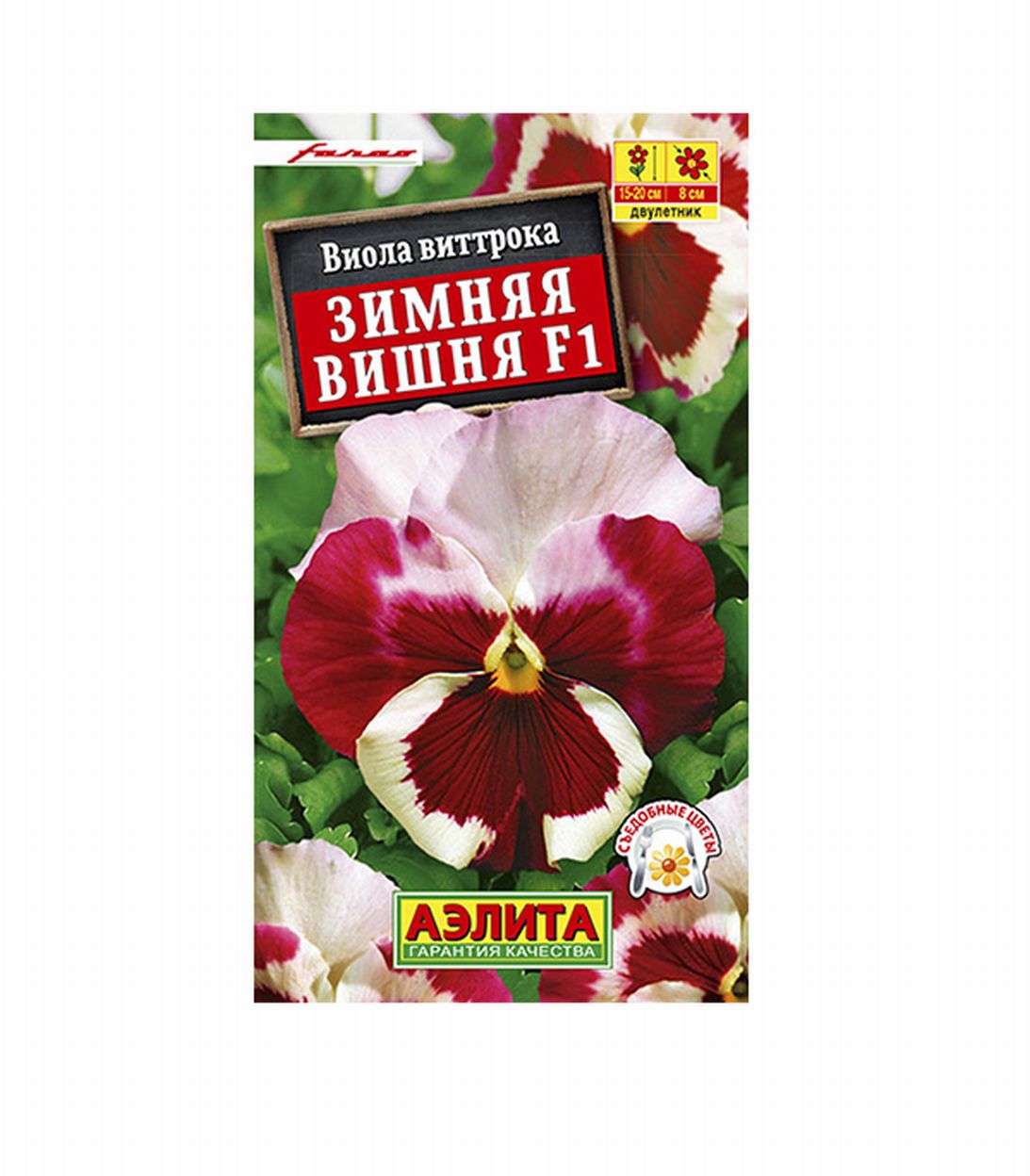 

Виола Зимняя вишня F1 Аэлита