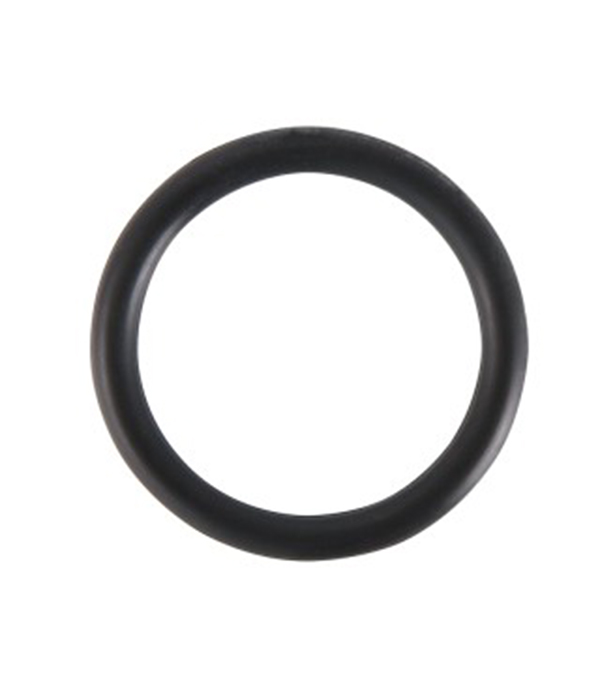 

Уплотнительное кольцо 22 FPM Viton