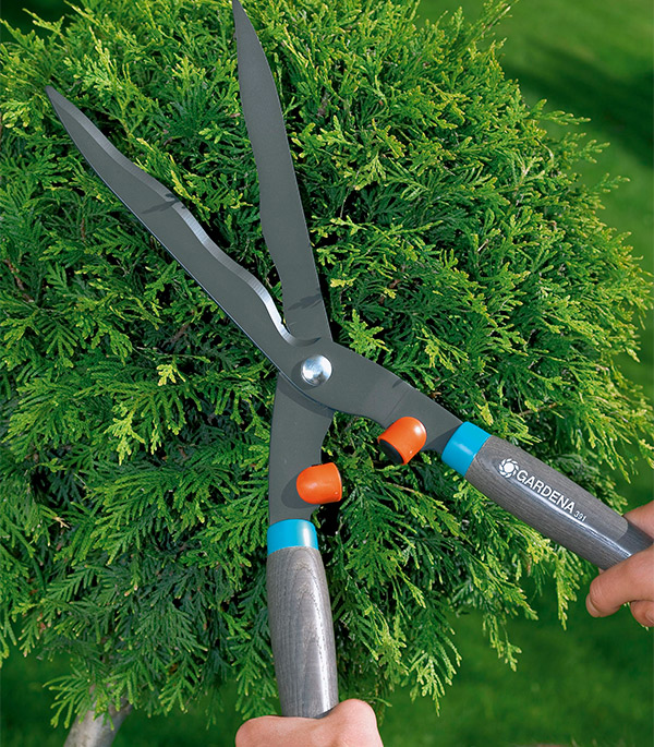 фото Ножницы для живой изгороди gardena classic 540 fsc® механические 00391-20